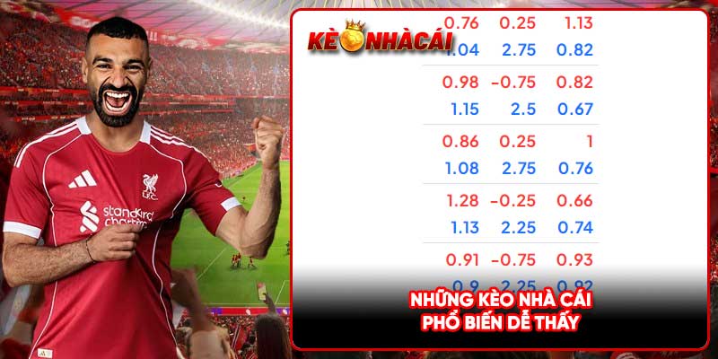 Những kèo nhà cái phổ biến dễ thấy