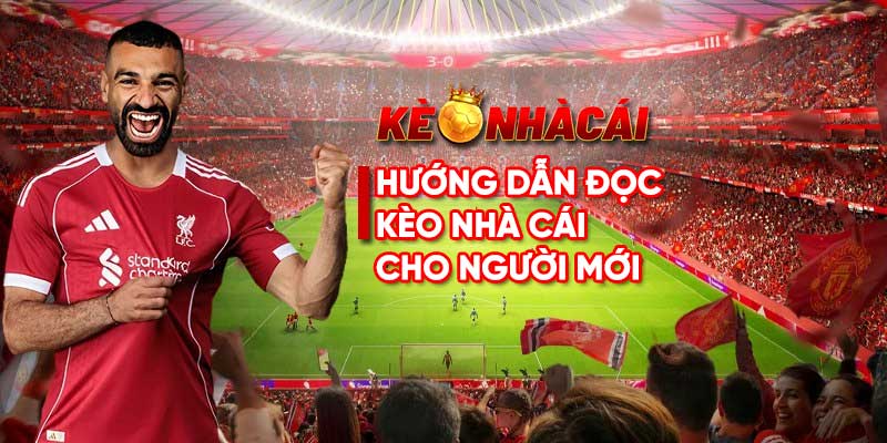 Hướng dẫn đọc kèo nhà cái cho người mới chuẩn nhất