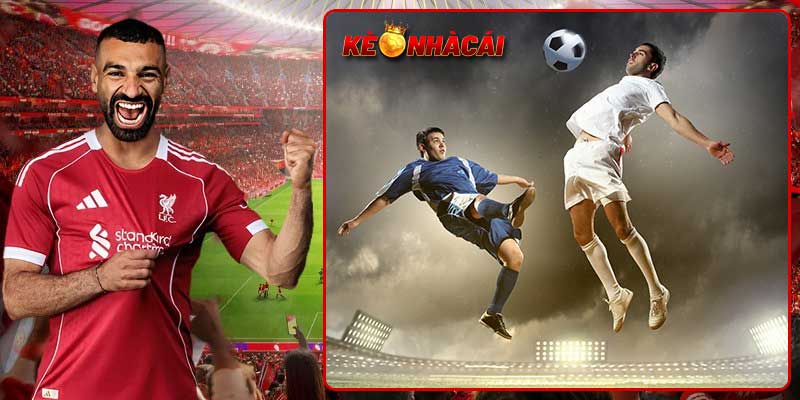Tìm hiểu kèo rung (Live odds) là gì?