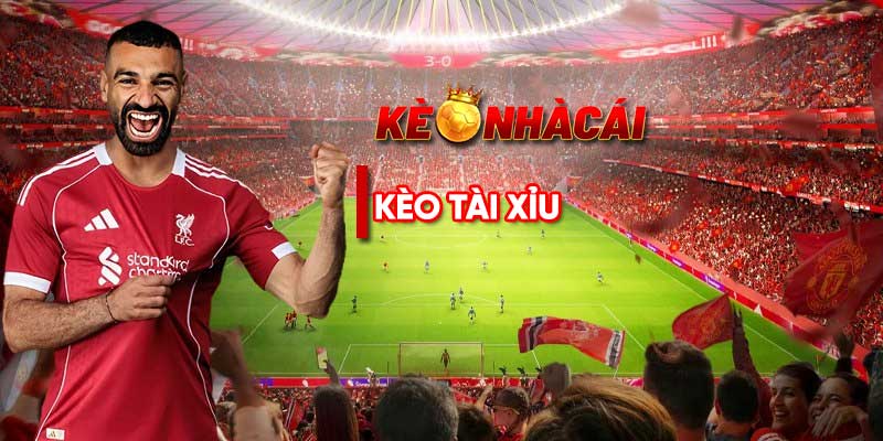 Kèo tài xỉu là gì? Phân tích cách chơi đọc hiểu liền